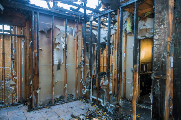 Professional Emergency Fire Cleanup technician working in Hobart, WA